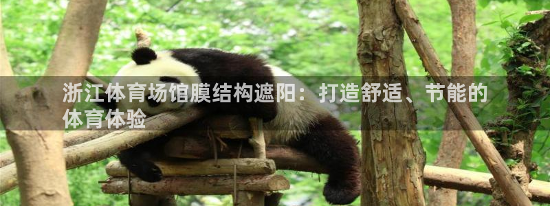 尊龙 下载