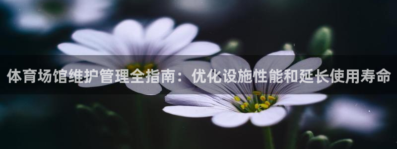尊龙t500和t300区别