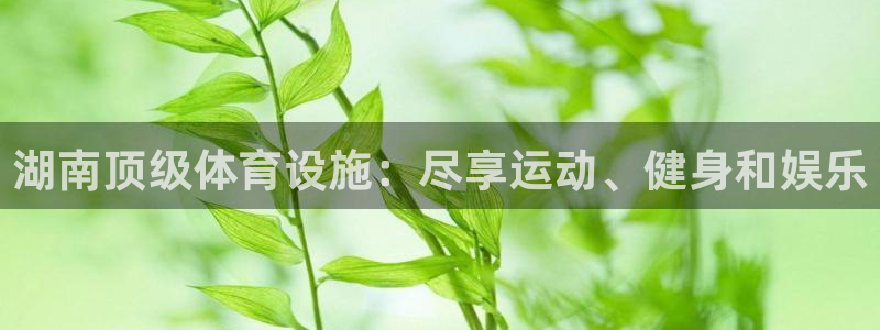 尊龙凯时白家乐