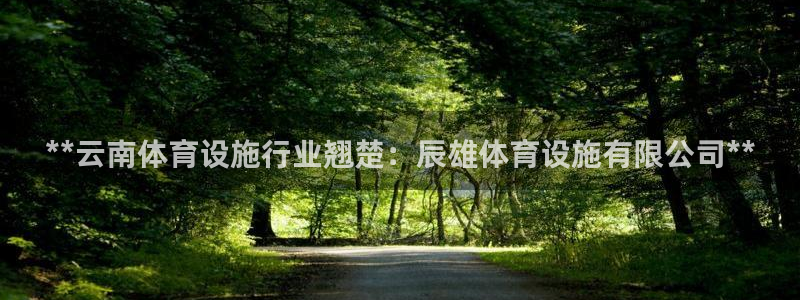 AG尊龙凯时注册