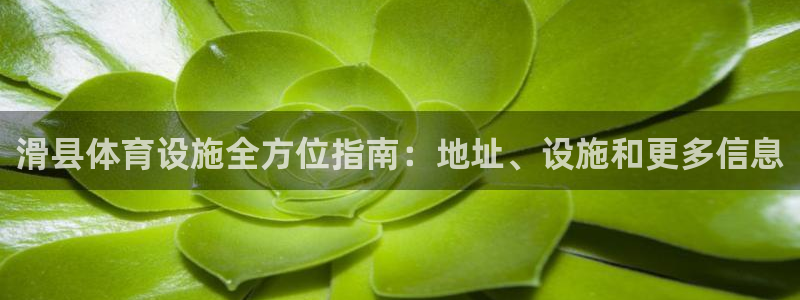 尊龙凯时人生就是博·(中国)官网