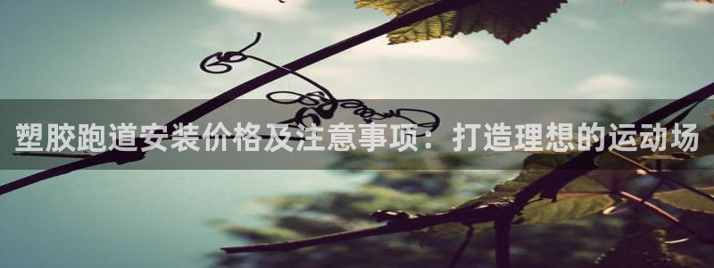 尊龙 5
