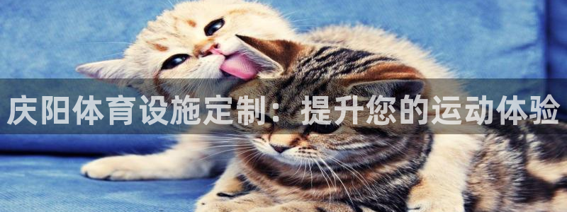 尊龙凯时z6官网