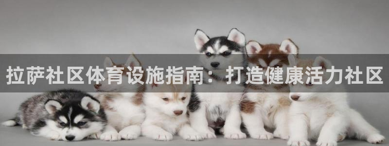 尊龙人生就是博现金