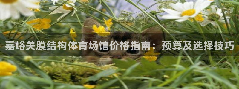 凯时登录首页,凯时K66