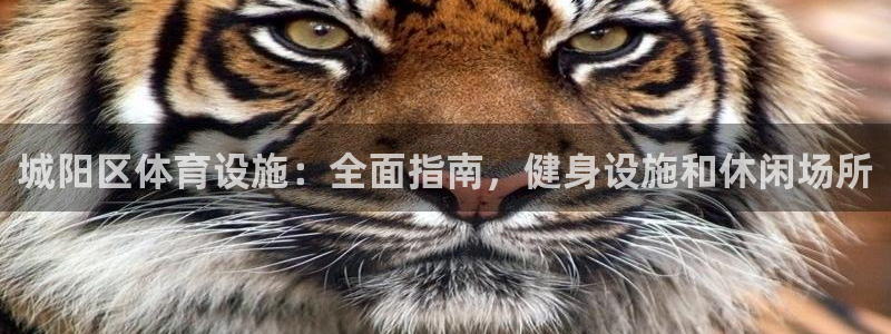 尊龙凯时有假么
