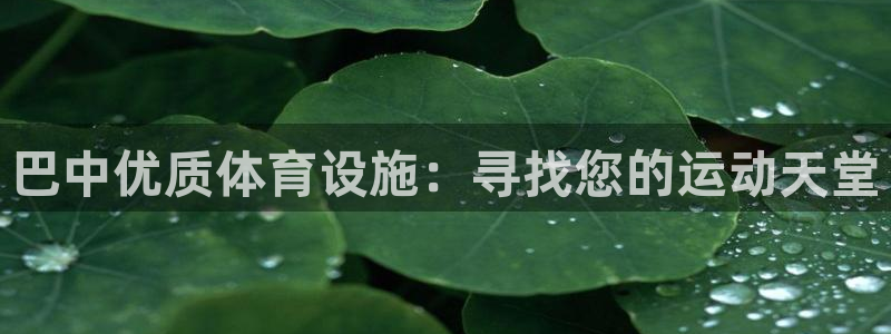尊龙凯时官方网页
