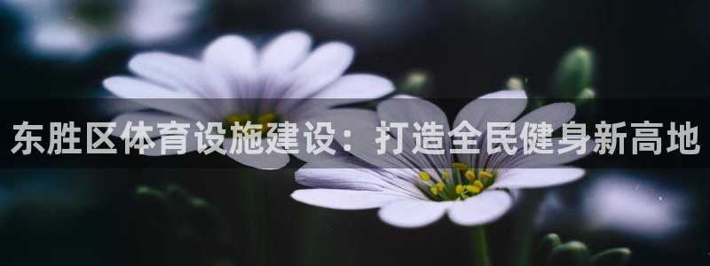 尊龙凯时台子