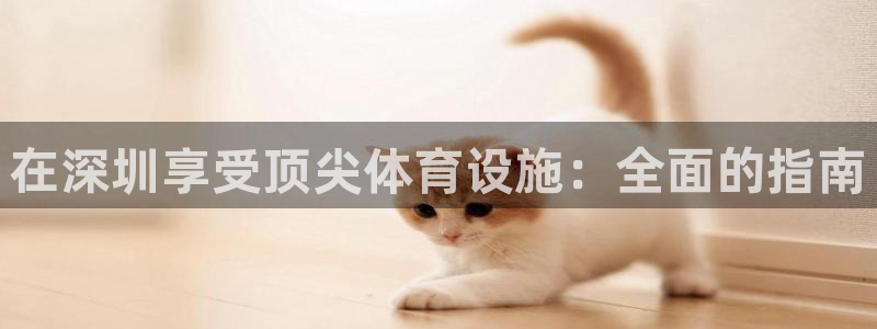 尊龙ag旗舰厅手机版