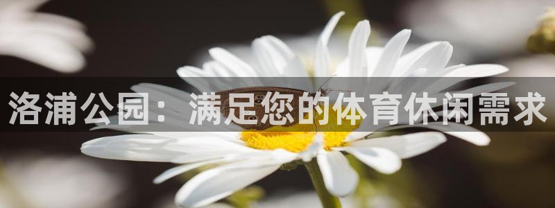 尊龙z6官网