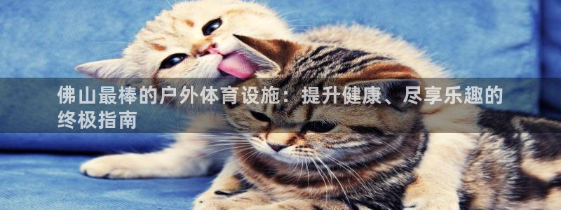 尊龙官网地址