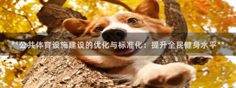 尊龙凯时人生就是博游戏网站