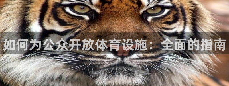 尊龙用现金娱乐一下下载旧