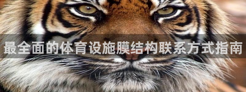 尊龙凯时官网版登录