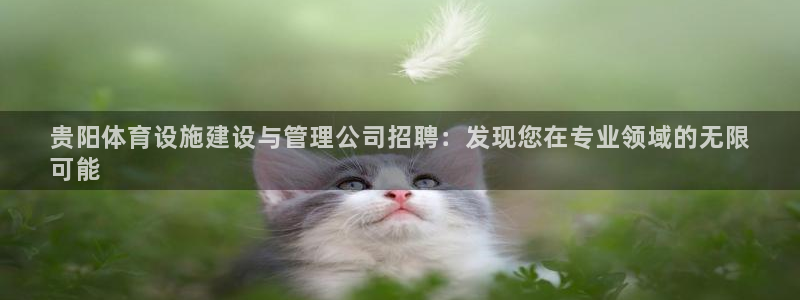 尊龙版末代皇帝