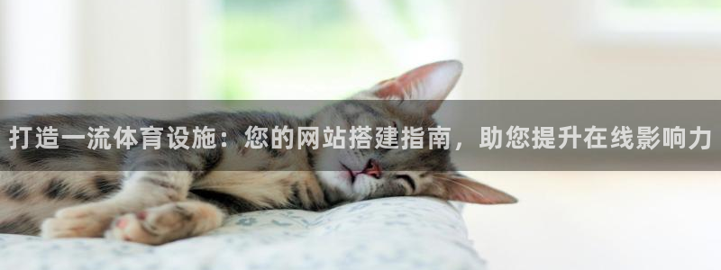 尊龙凯时只输不赢