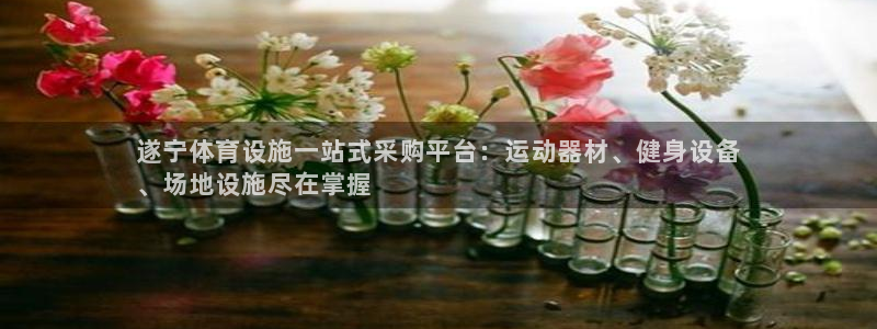 尊龙官网免费下载安卓