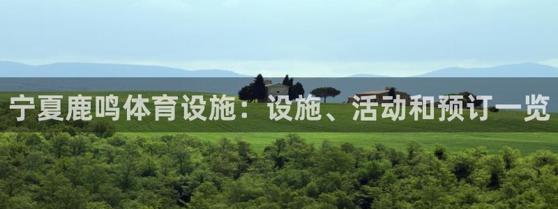 尊龙凯时网