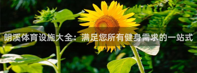 尊龙凯时 人生就是搏首页