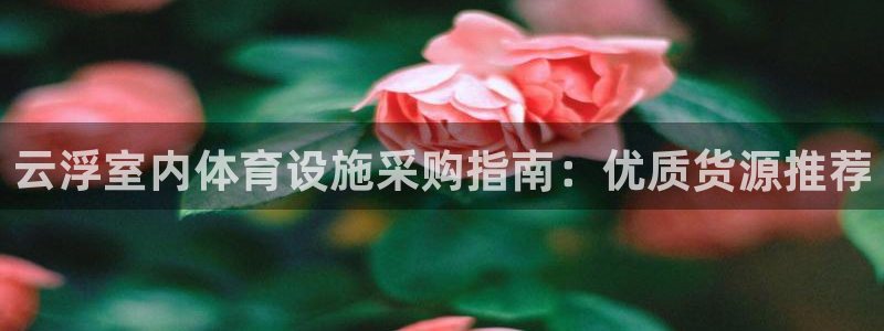 尊龙凯时人生就是搏技术实力
