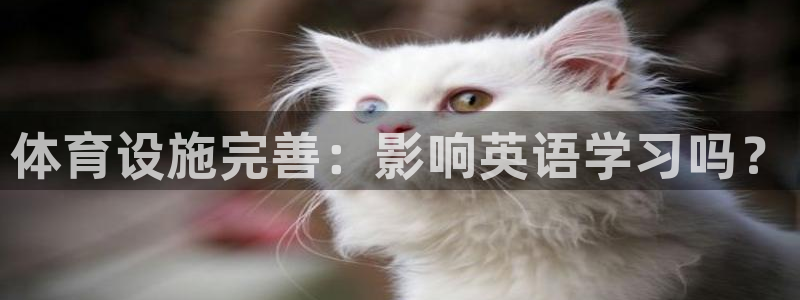尊龙人生就是博官方官网