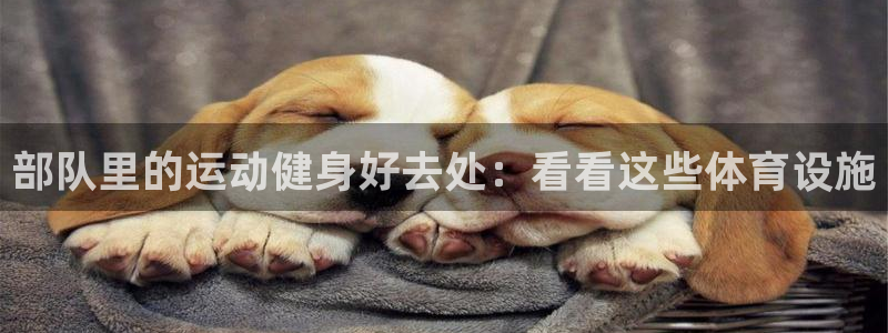 尊龙百度百科