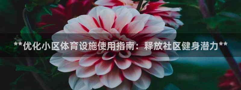 凯时登录平台去AG发财网