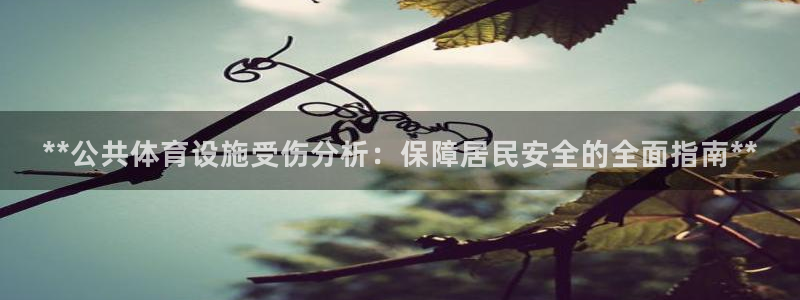 尊龙人生就是博官