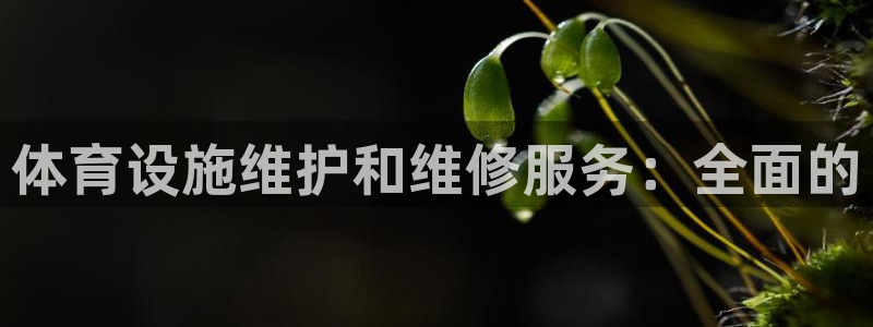 尊龙凯时只输不赢