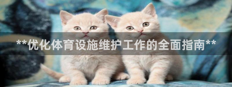 d88尊龙手机客户端下载