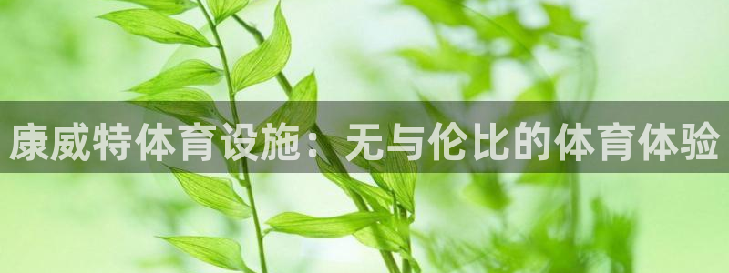 尊龙官方平台是正品吗