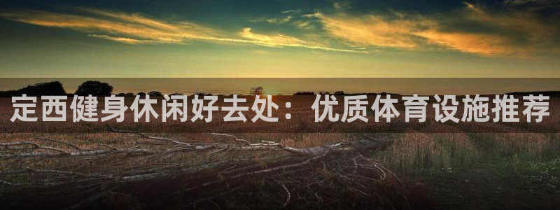 尊龙官网入口