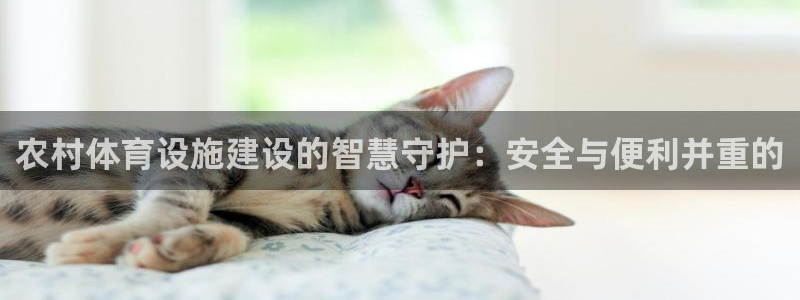 尊龙 下载