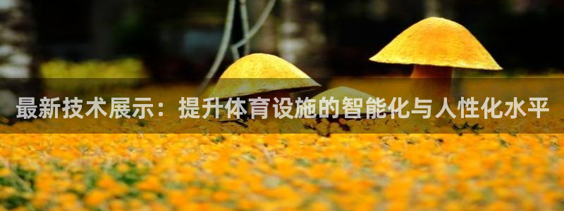 尊龙凯时 人生就是搏
