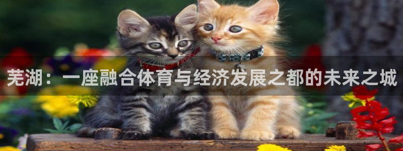 ag尊龙凯时官网
