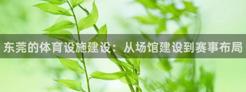d88尊龙手机客户端下载