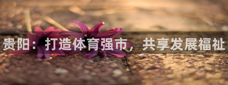 凯时平台app