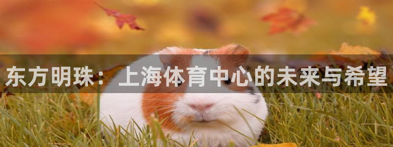 尊龙凯时一人生就是博登入