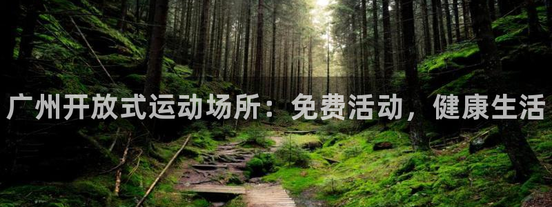 尊龙app认可ag发财网