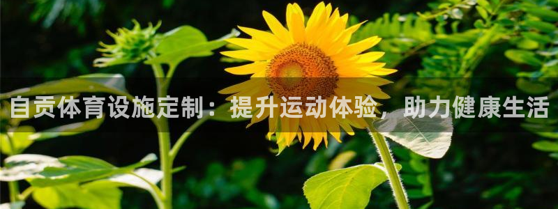 尊龙凯时用户名m