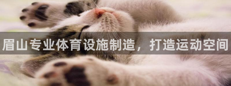 凯时国际app首页下载