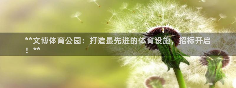 尊龙凯时几百万怎么下款