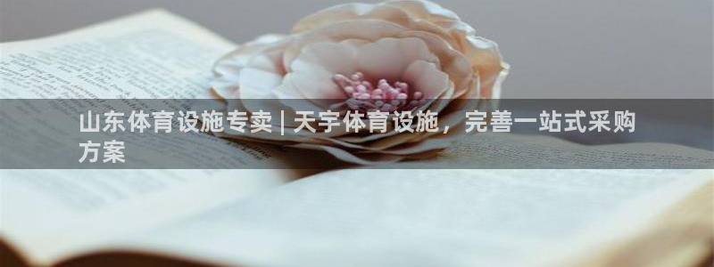 凯时官网手机版下载