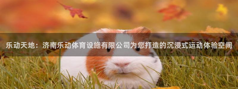 尊龙凯时 人生就是搏!